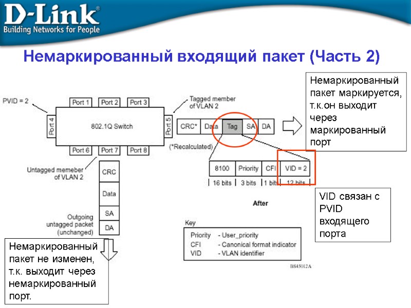 Немаркированный входящий пакет (Часть 2) Немаркированный пакет маркируется, т.к.он выходит через маркированный порт Немаркированный